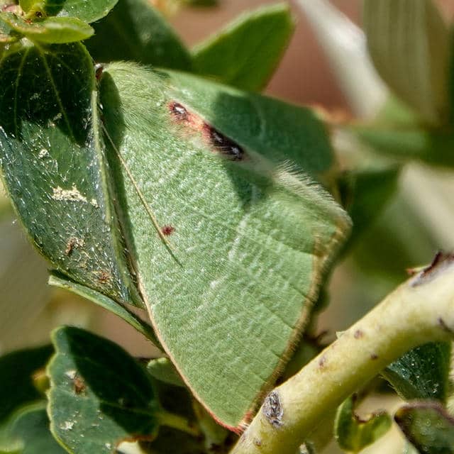 Sullivan's Restaurant