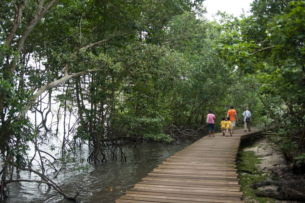 Coastal Flora and Fauna