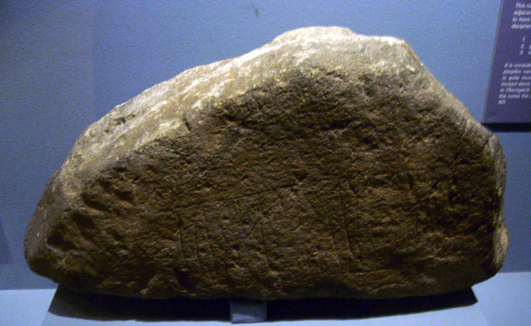 Geology and Natural History