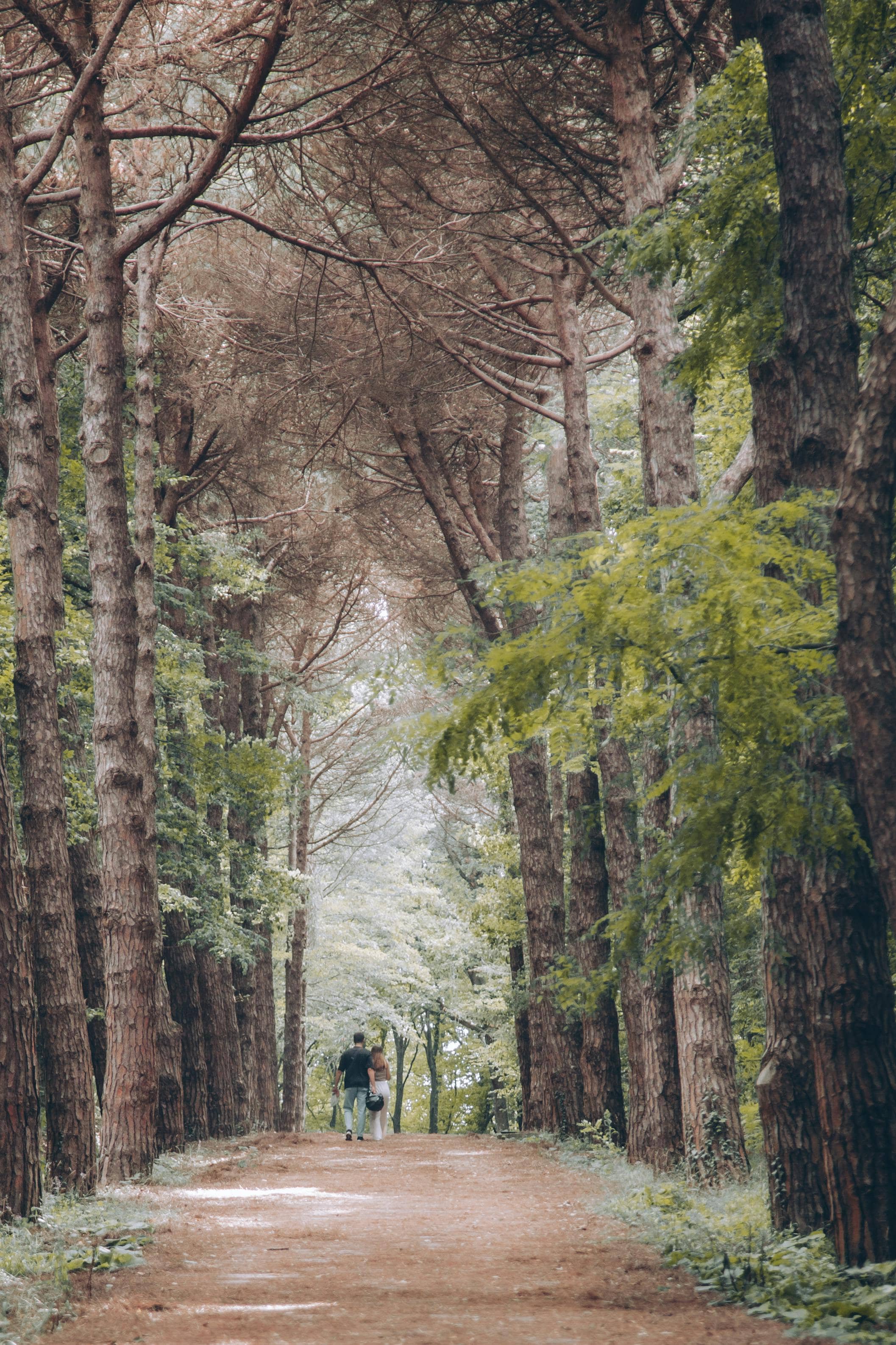 Tranquil Walking Trails