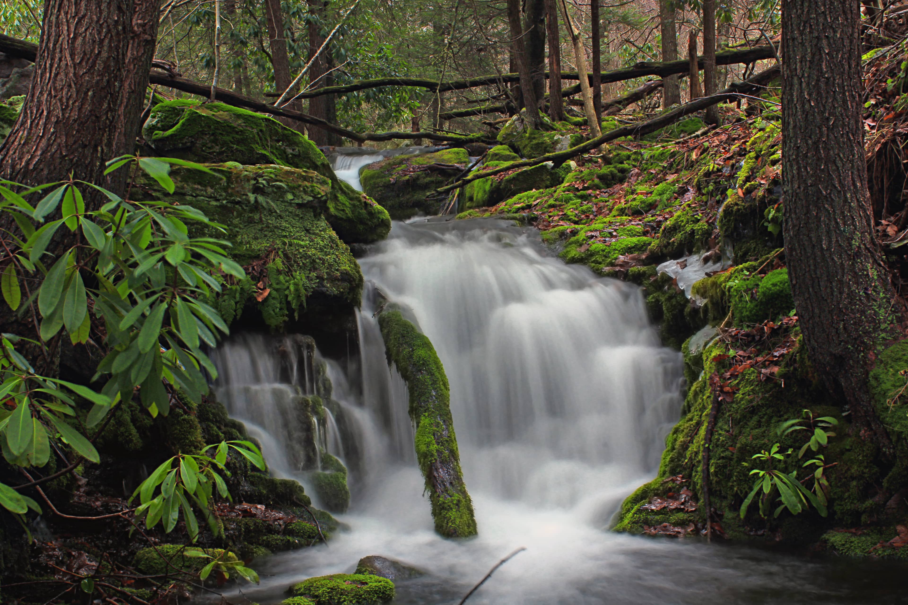Fountain Creek Stream