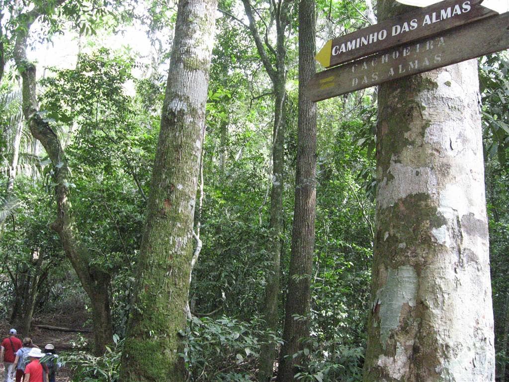 Scenic Hiking Trails