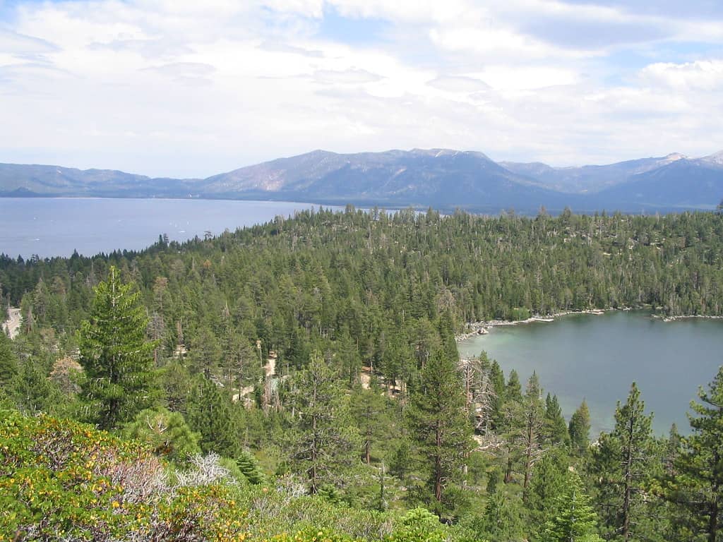 Fallen Leaf Lake Views