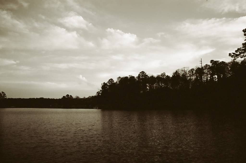 Sunset Boat Tours