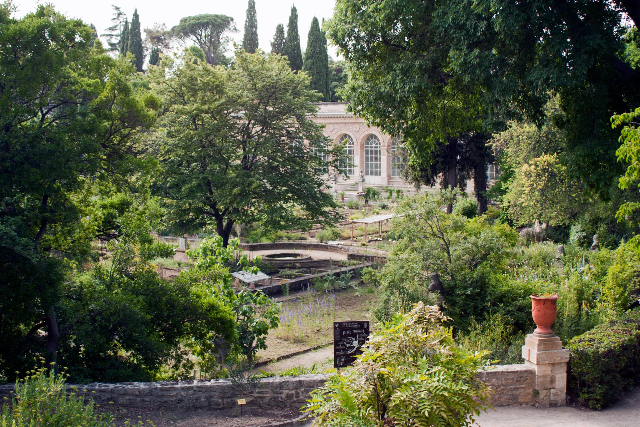 Medicinal Garden