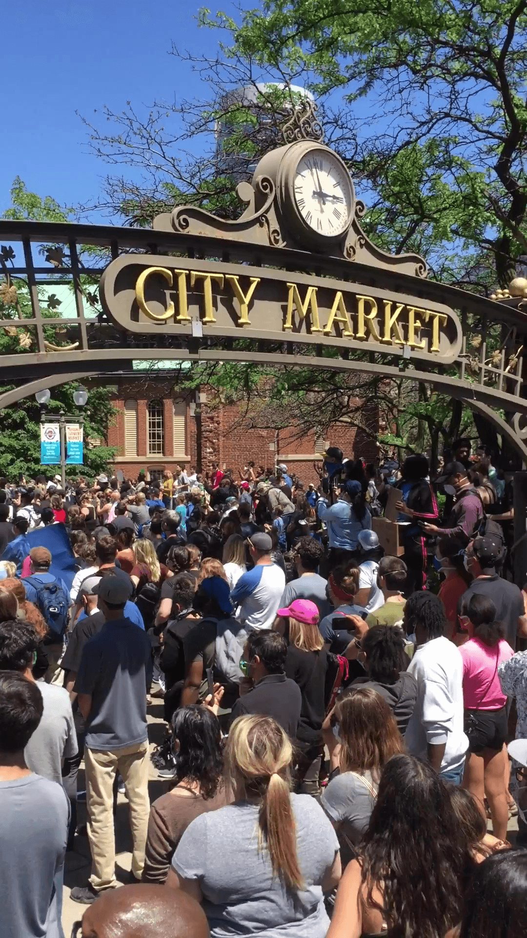 Farmers Market Finds