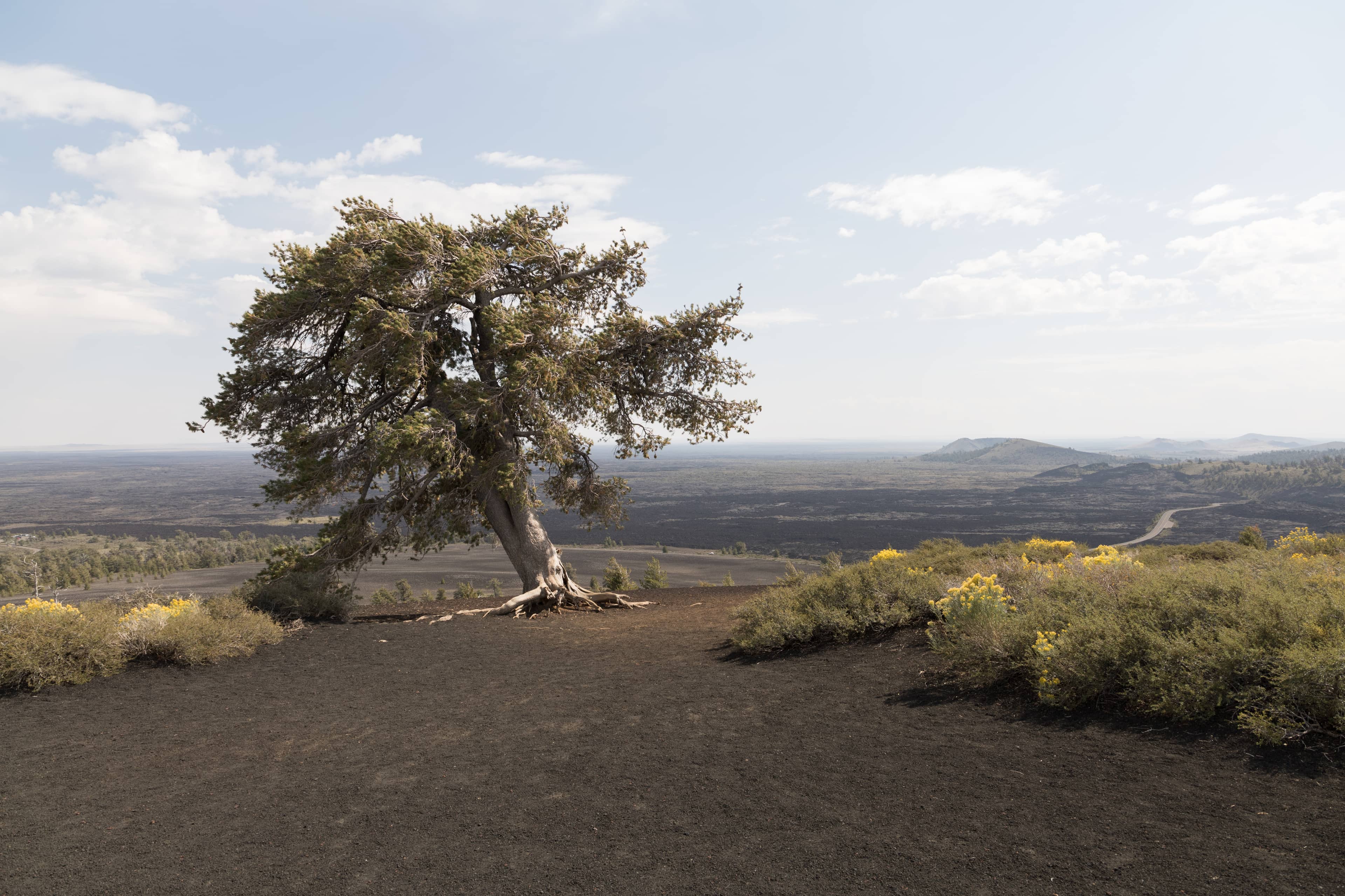 Bike and Walking Trails