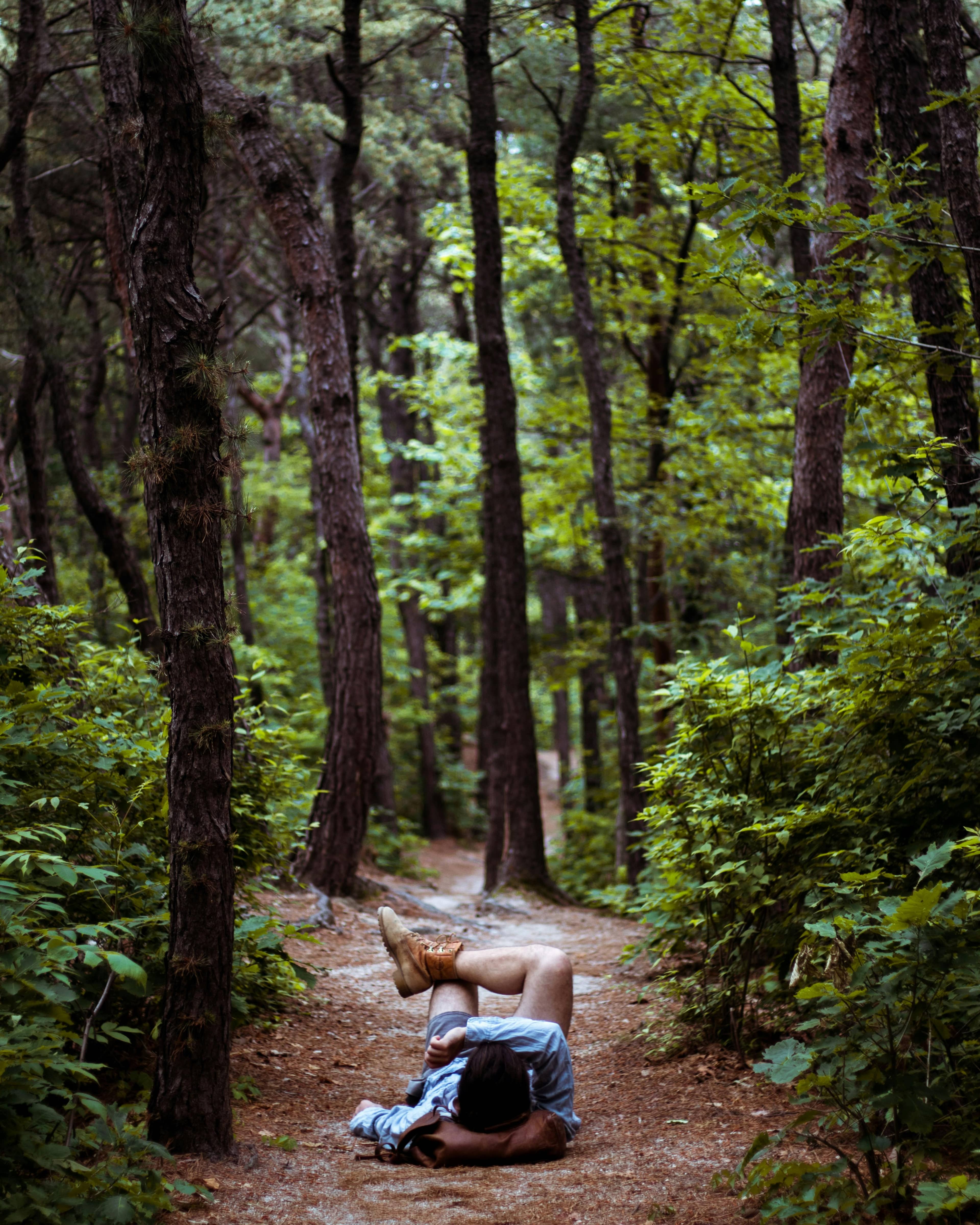 Horseback Riding Adventures