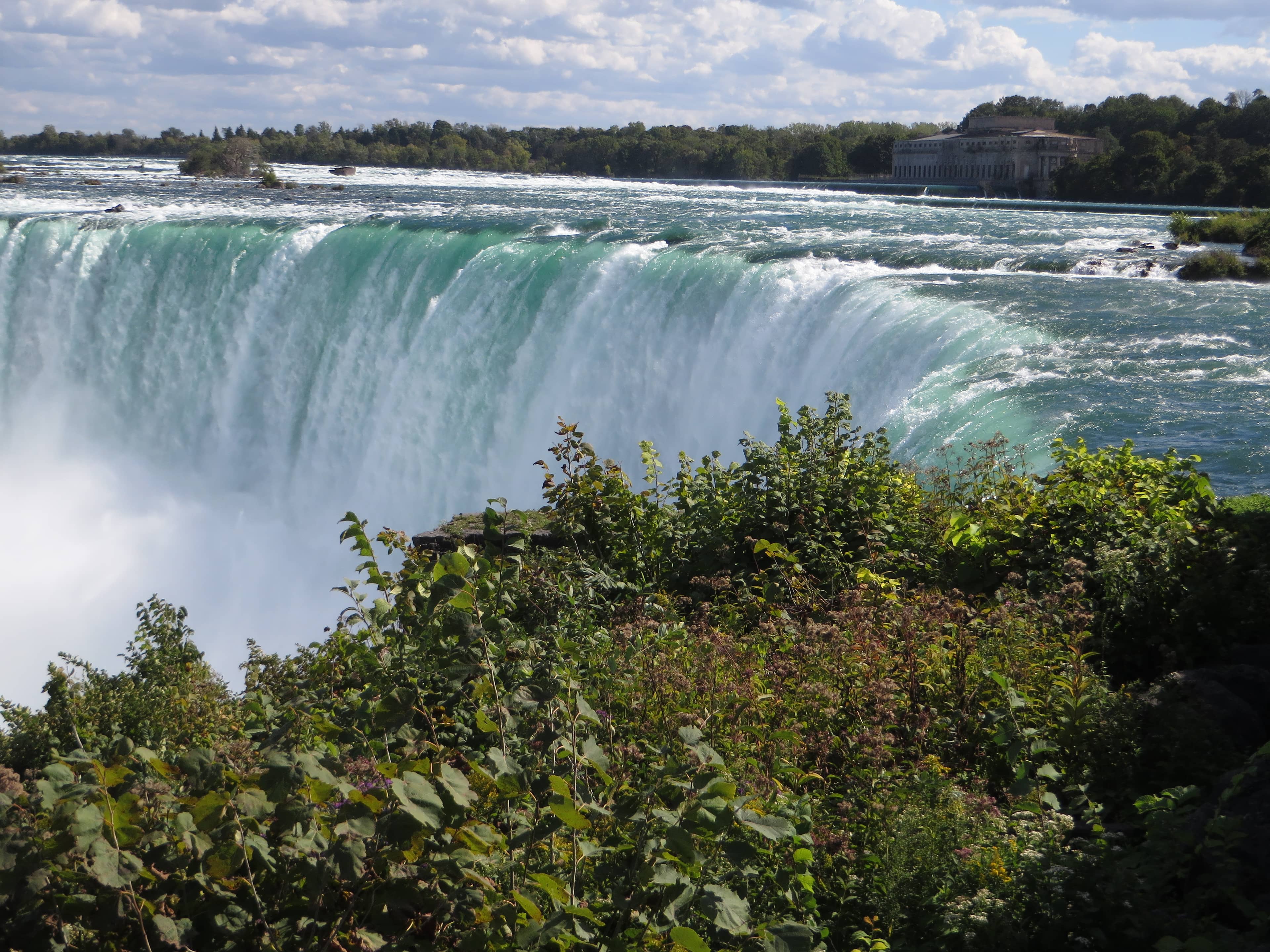 Niagara Takes Flight