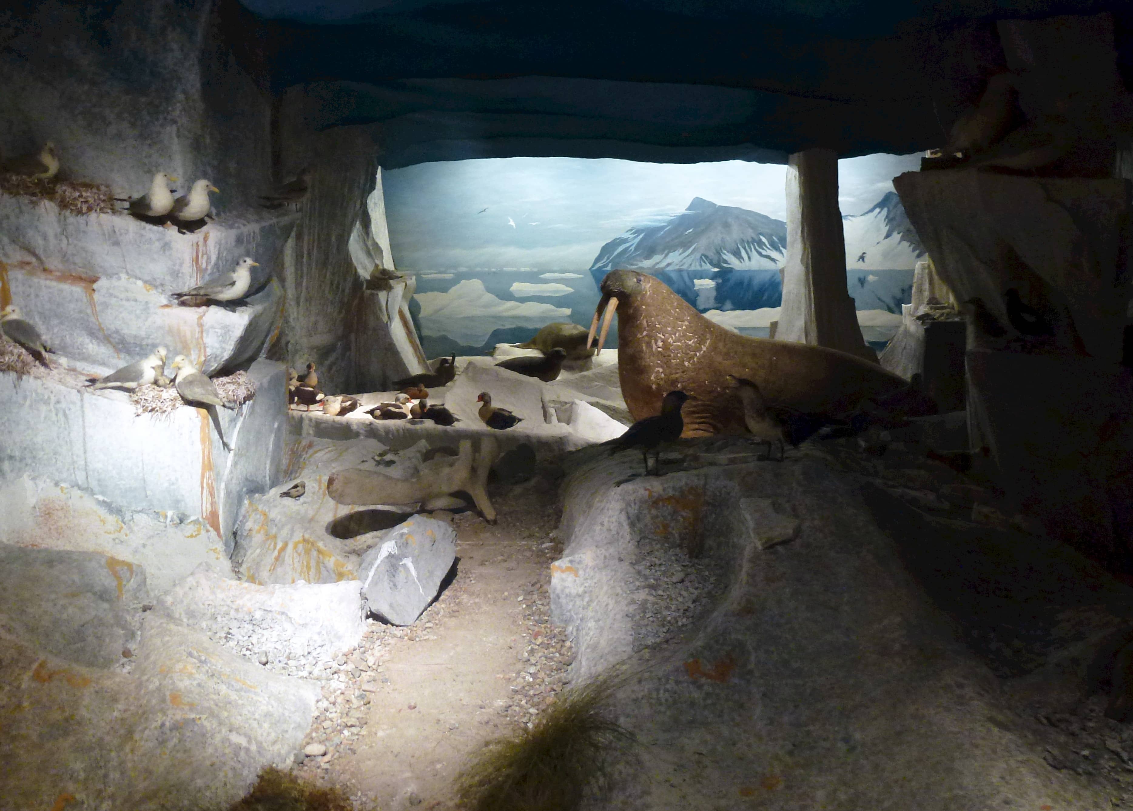 The Elaborate Cave System