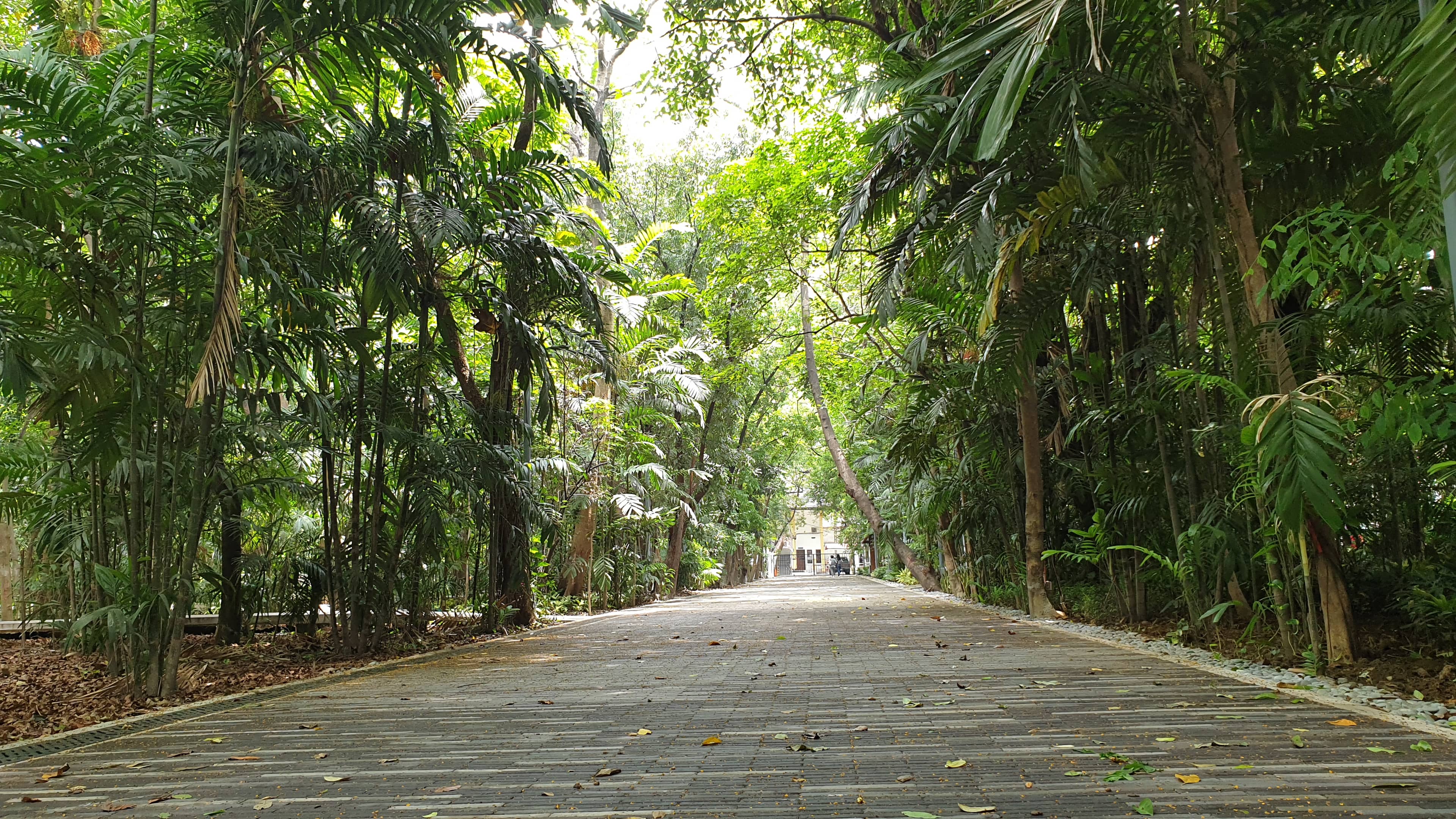 Arroceros Forest Park