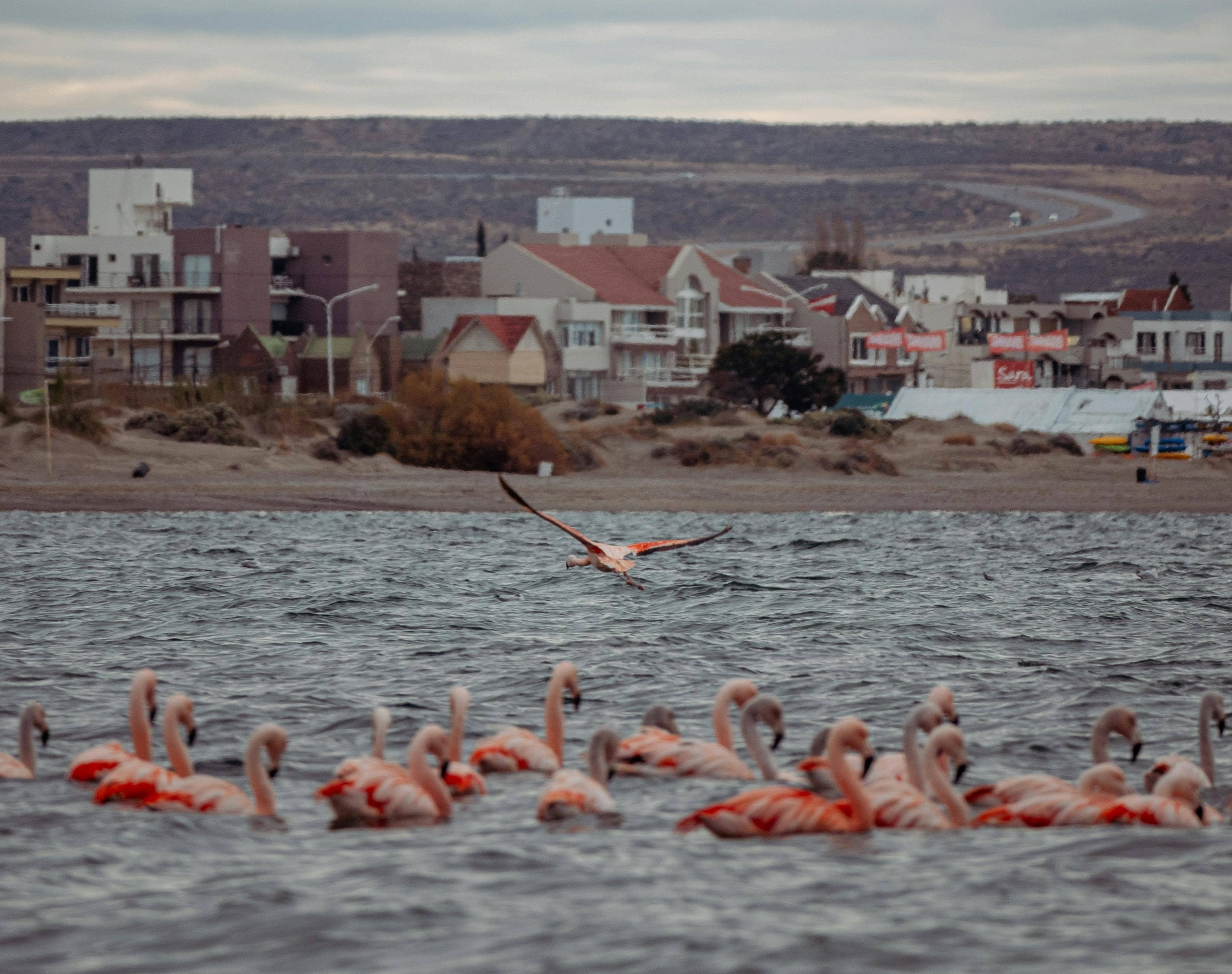 Cracked Earth Landscape