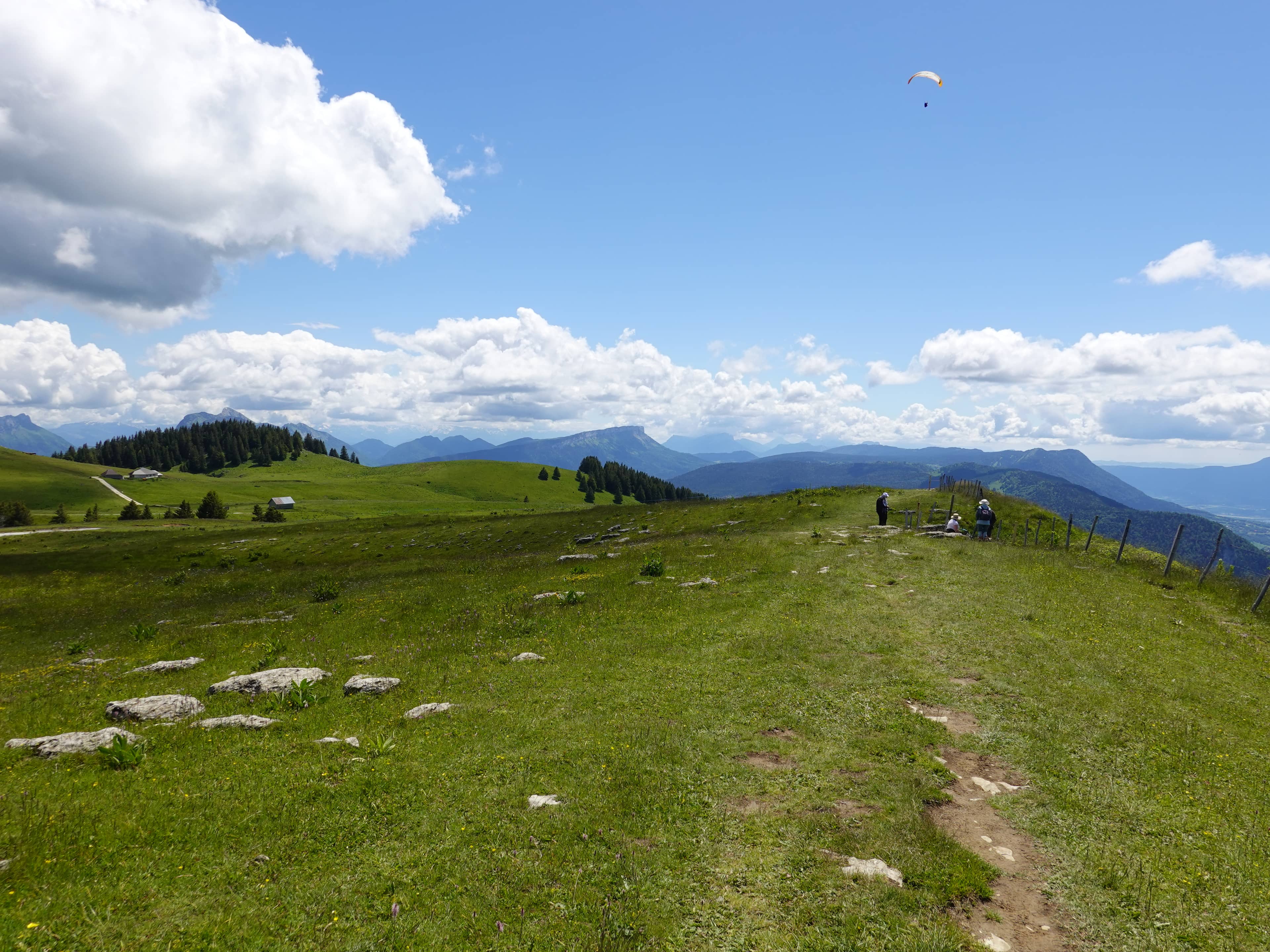 Tranquil Mountain Pastures