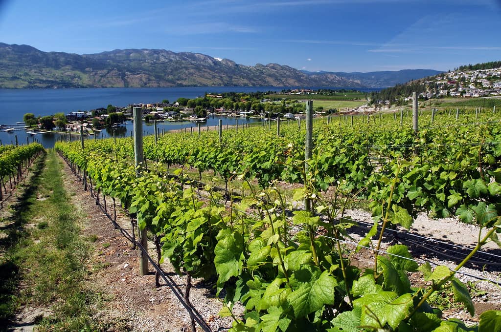 Historic Estate Grounds