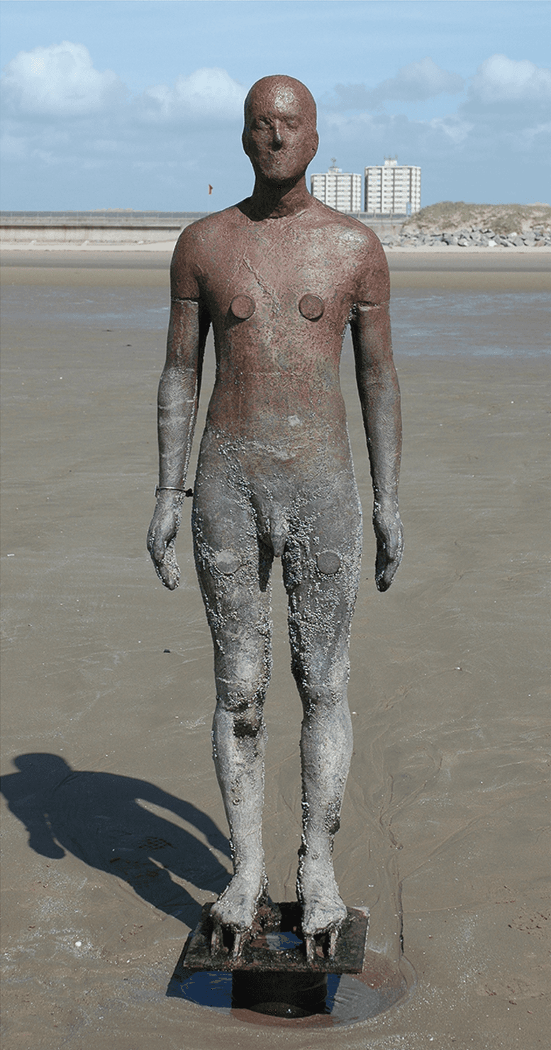 Surreal Coastal Landscape