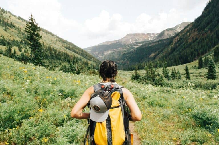 Volunteering for Conservation