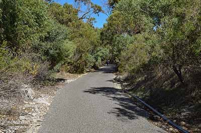 Bold Park Hiking Trails