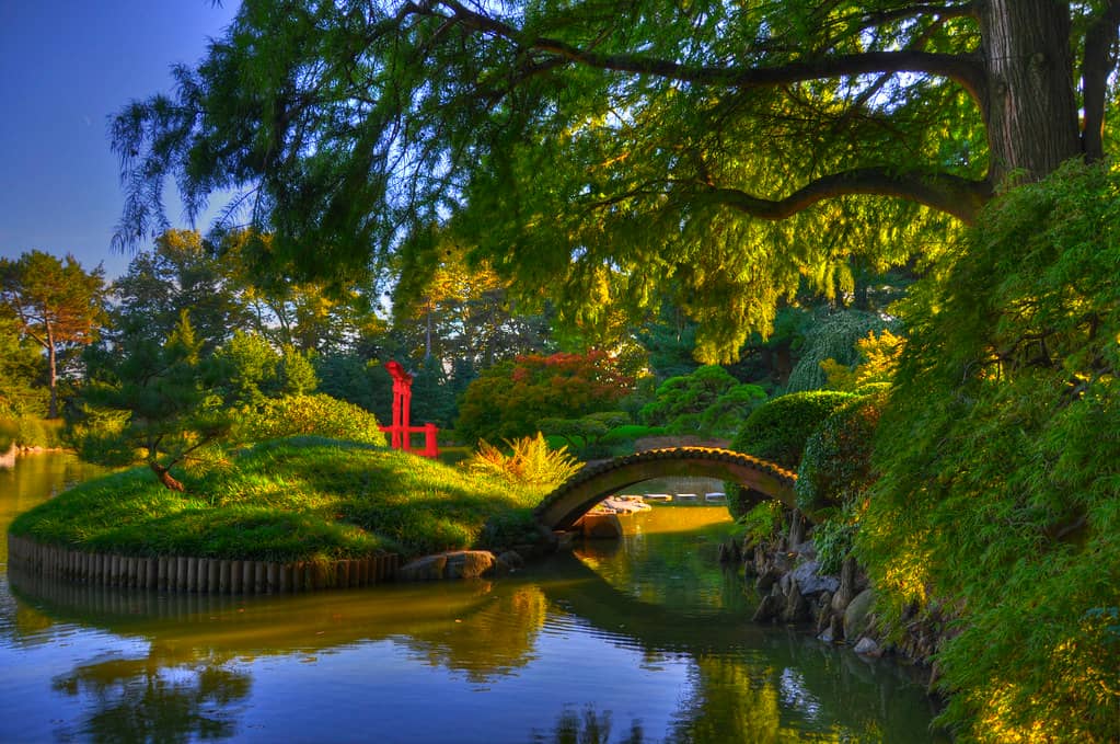 Japanese Hill-and-Pond Garden