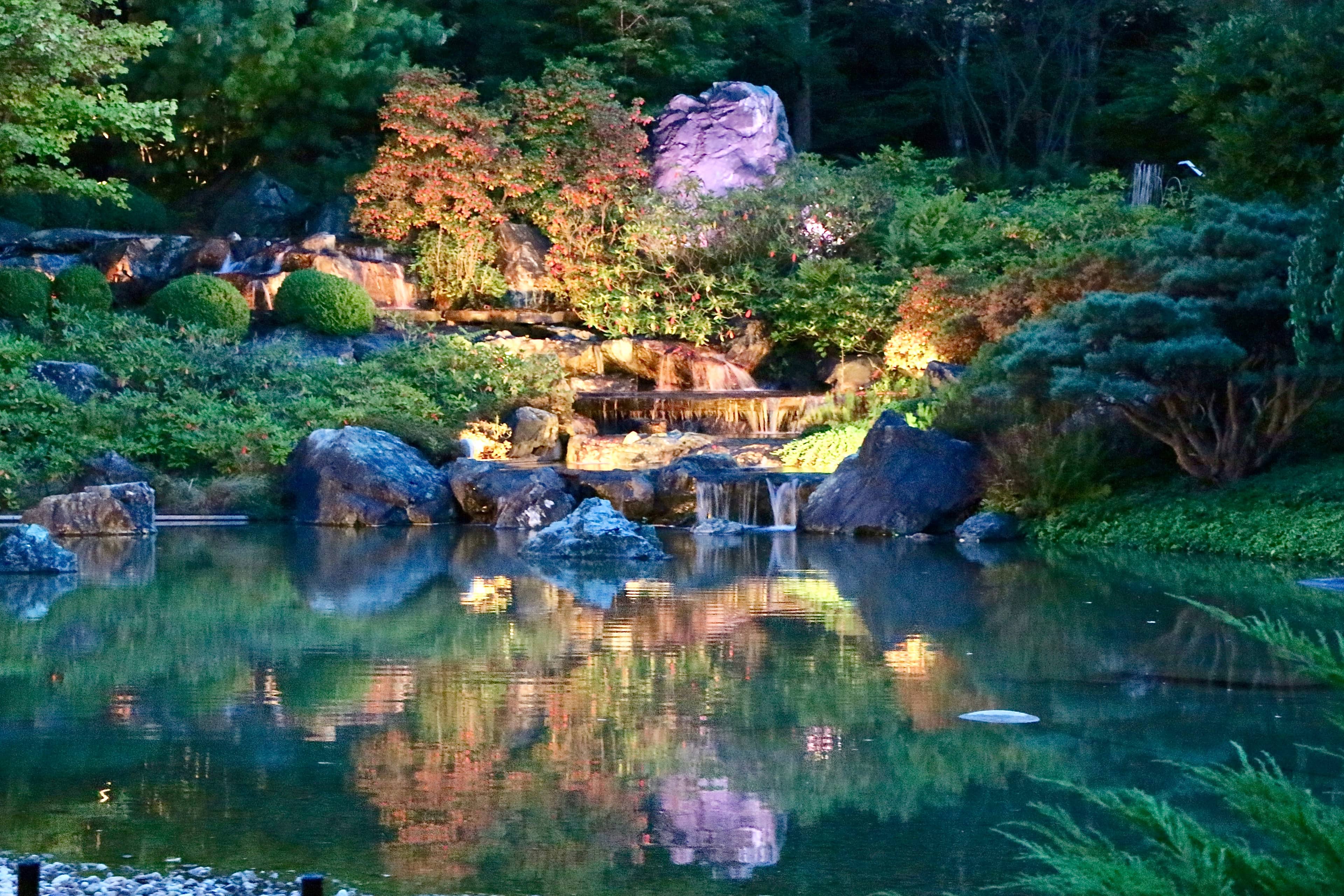 Japanese Garden