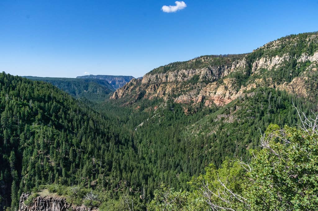 Oak Creek Canyon Views