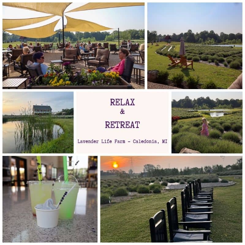 Lavender Products Shop