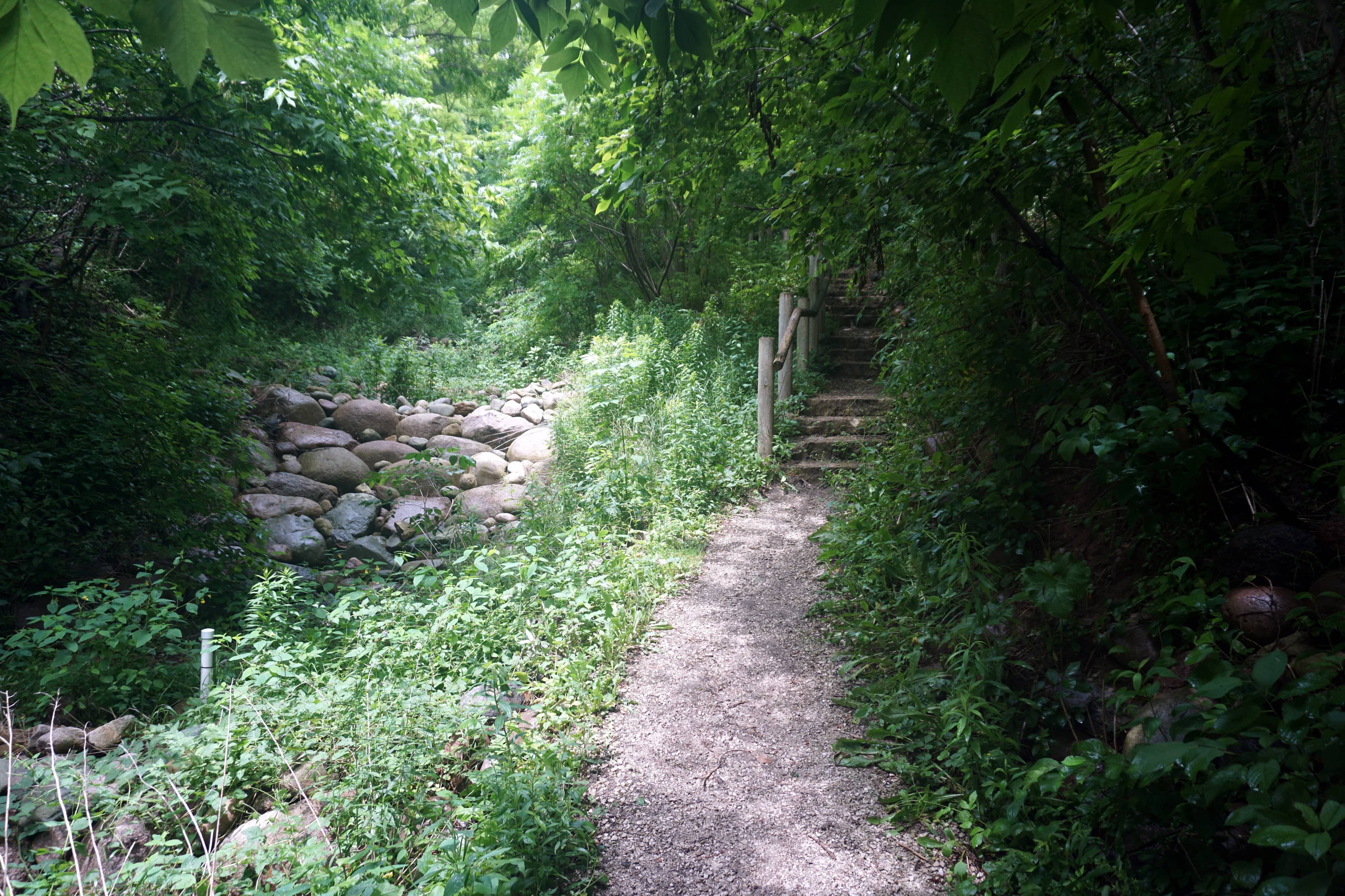 Scenic Walking Trails