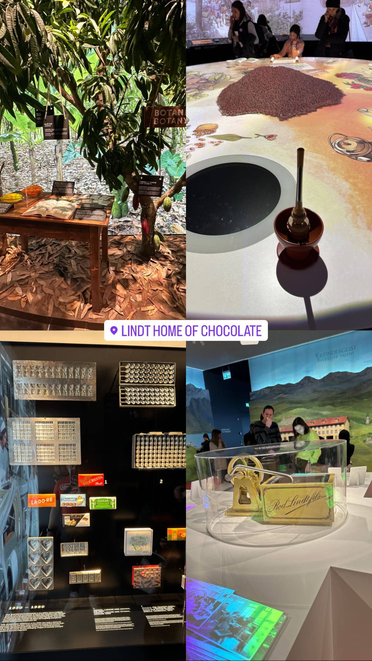 Interactive Chocolate Making Displays