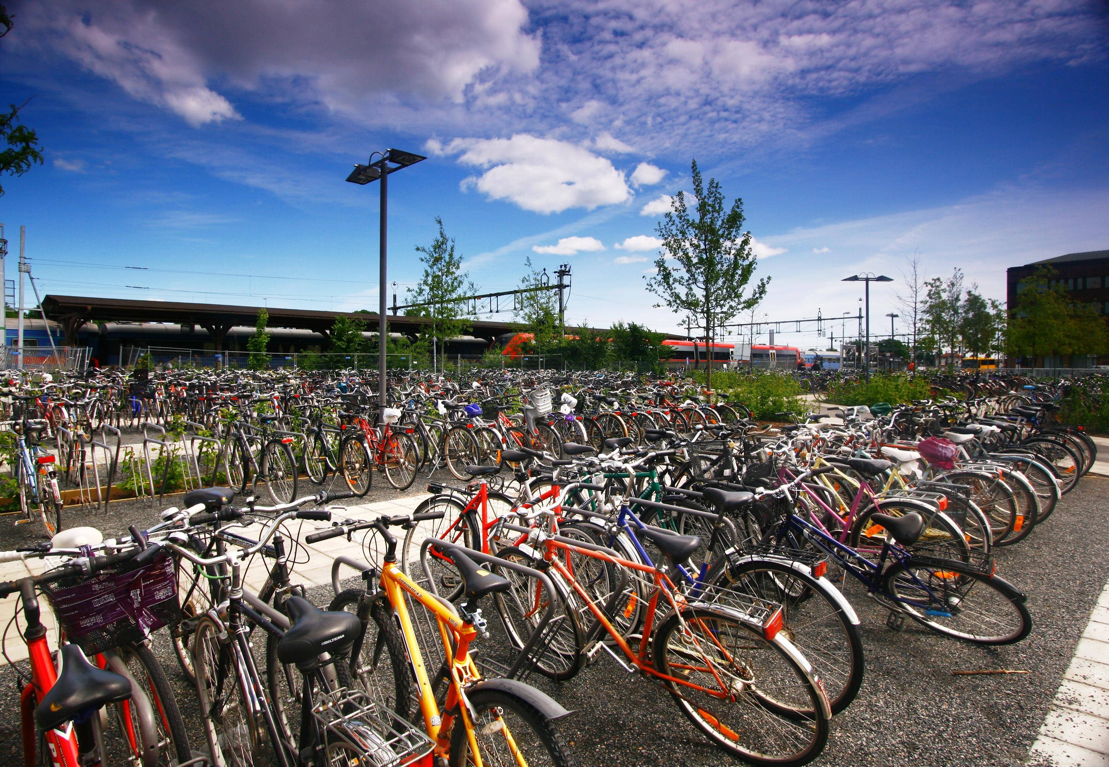 Local Parks and Green Spaces