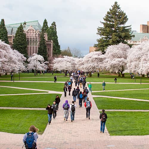 Campus Stroll