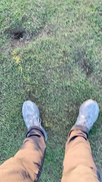 Social content