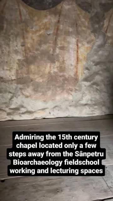 Social content