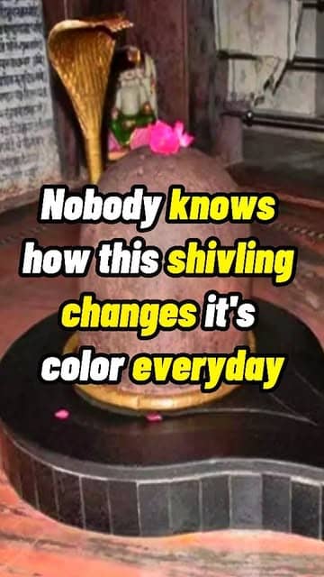 Social content