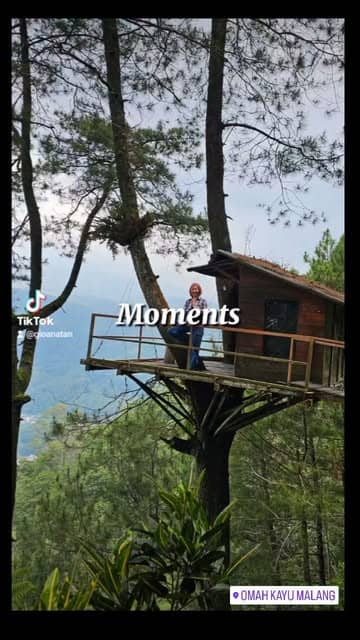 Social content