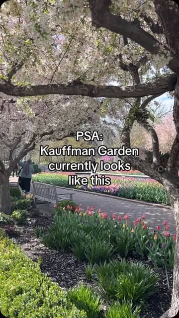 Social content