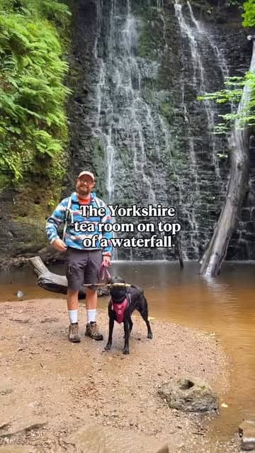 Social content