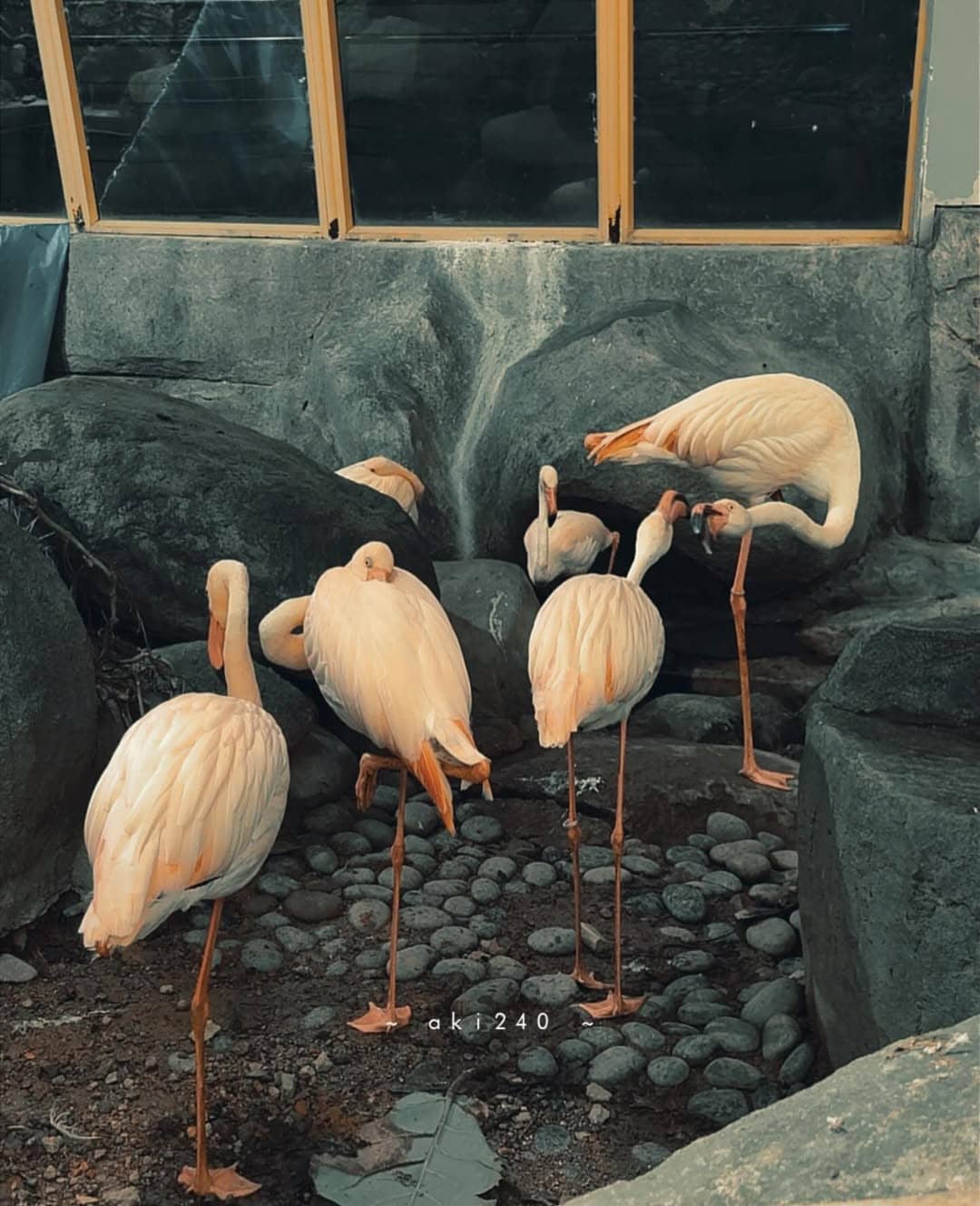Highlights