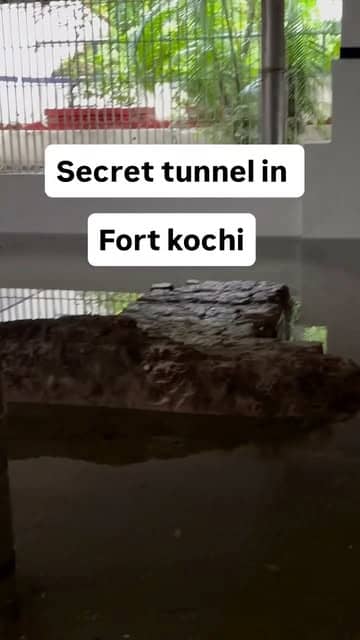 Social content