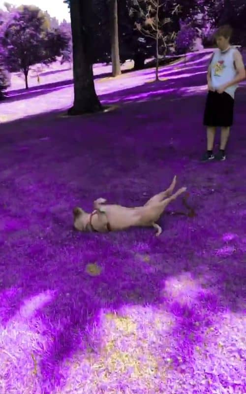 Social content