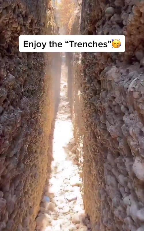 Social content