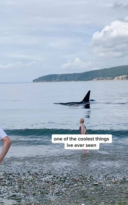 Social content
