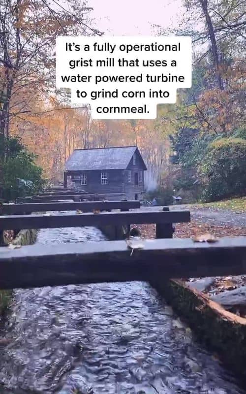 Social content