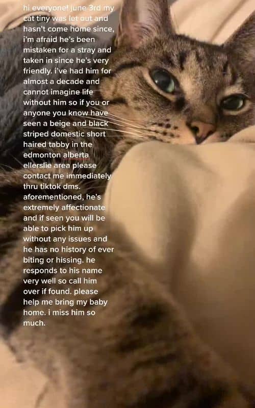 Social content
