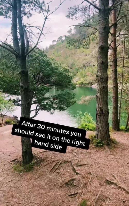 Social content