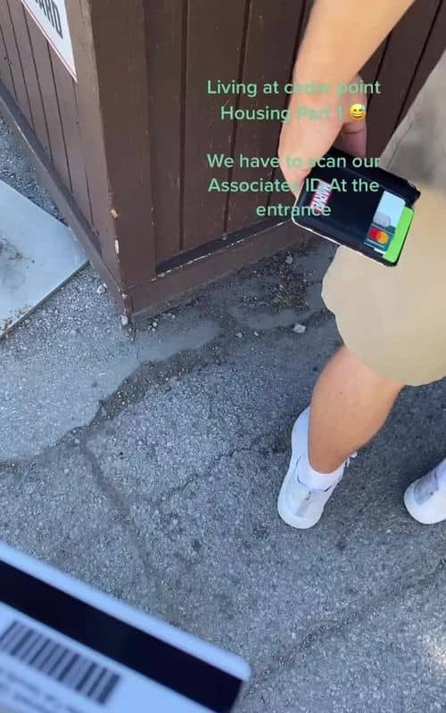 Social content