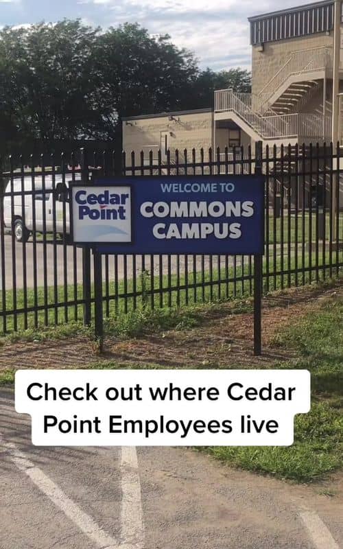 Social content