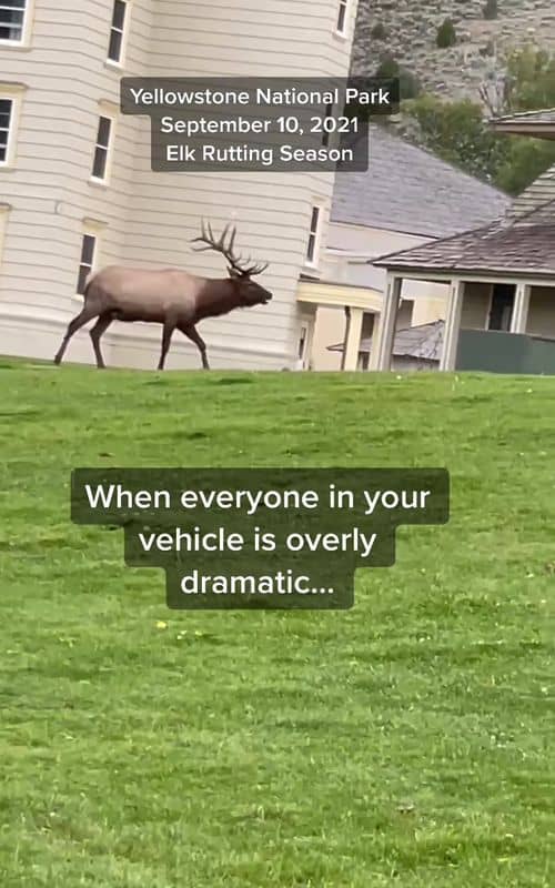 Social content