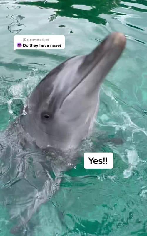 Social content