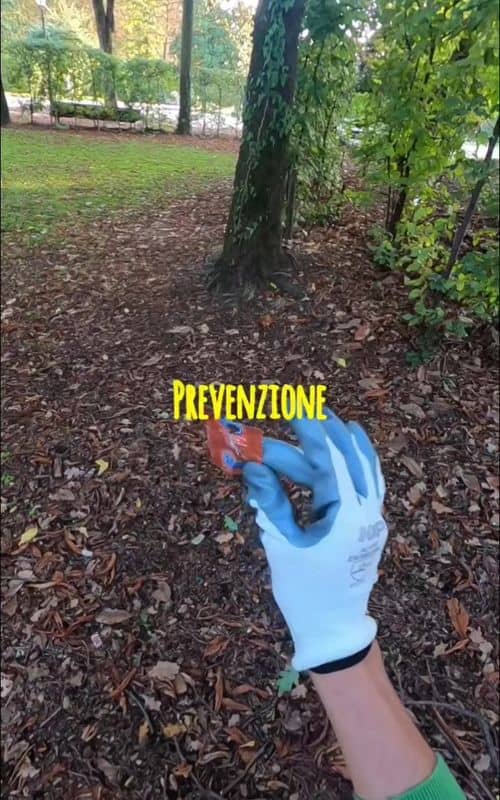 Social content