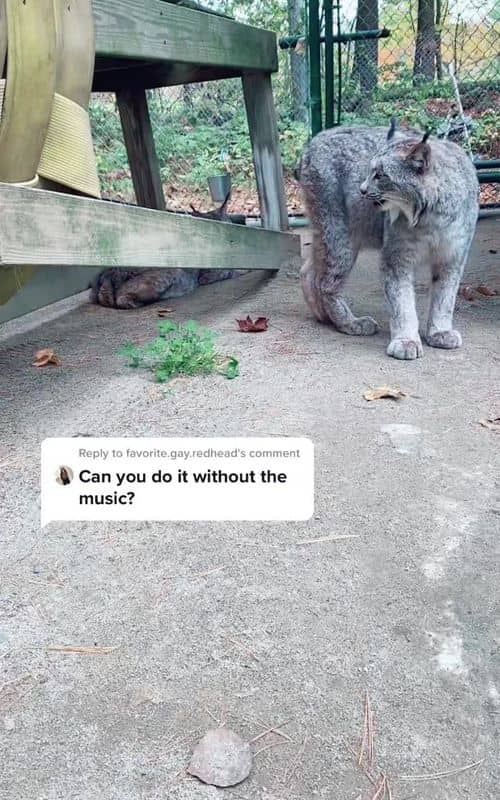 Social content