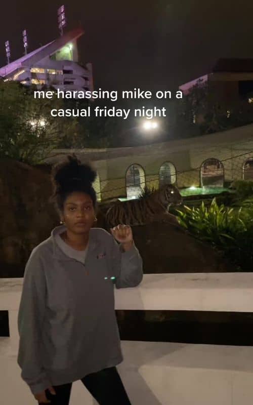Social content